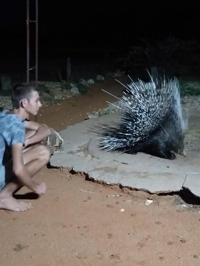 Отель Porcupine Camp Kamanjab Экстерьер фото
